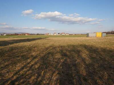 Grundstück kaufen in 4064 Oftering (Bild 1)