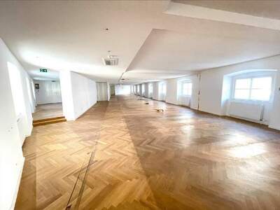 Gewerbeobjekt mieten in 1010 Wien
