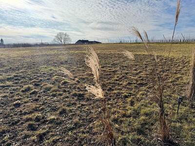 Grundstück kaufen in 8380 Jennersdorf (Bild 5)