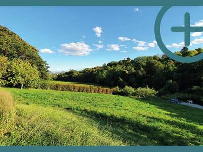 Grundstück kaufen in 1190 Wien