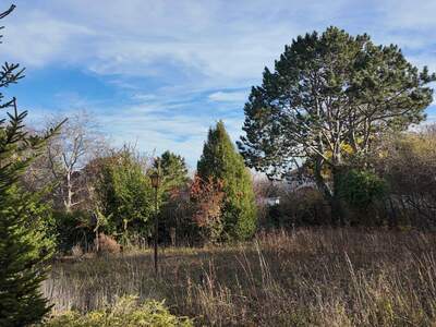 Grundstück kaufen in 2344 Maria Enzersdorf