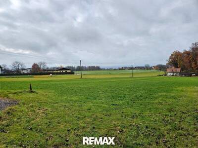 Grundstück kaufen in 5120 St. Pantaleon