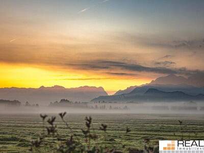 Grundstück kaufen in 5020 Salzburg
