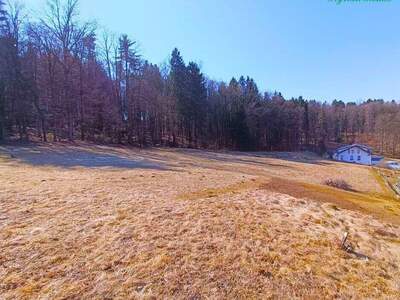 Grundstück kaufen in 8071 Hausmannstätten (Bild 1)