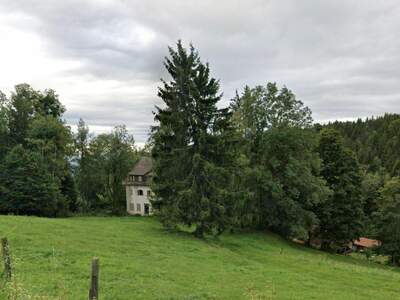 Grundstück kaufen in 8530 Trahütten (Bild 1)