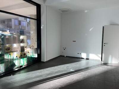 Gewerbeobjekt mieten in 8055 Graz (Bild 1)