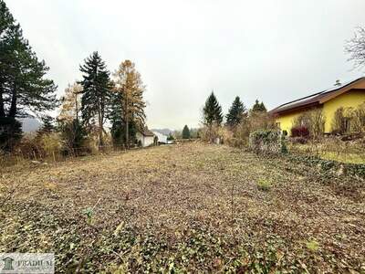 Grundstück kaufen in 2534 Alland