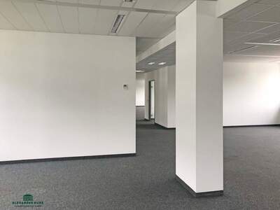 Gewerbeobjekt mieten in 5020 Salzburg (Bild 3)