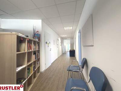 Gewerbeobjekt mieten in 2340 Mödling (Bild 3)