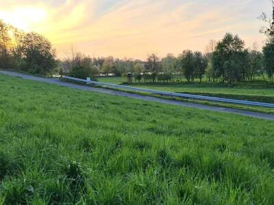 Grundstück provisionsfrei kaufen in 4982 Obernberg