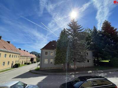 Wohnung mieten in 3160 Traisen