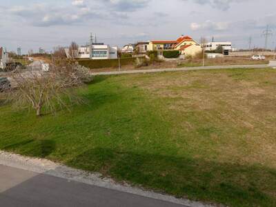 Grundstück kaufen in 7100 Neusiedl
