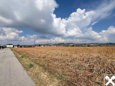 Grundstück kaufen in 4782 Sankt Florian (Bild 1)
