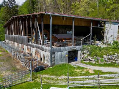 Grundstück kaufen in 6752 Dalaas (Bild 2)