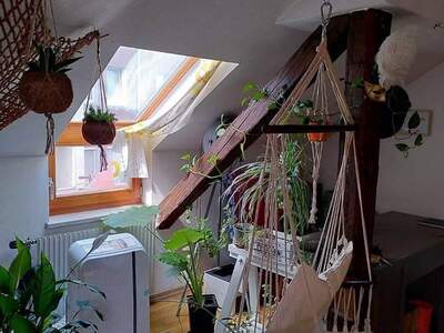 Mietwohnung provisionsfrei in 8020 Graz