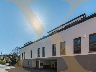 Terrassenwohnung kaufen in 4600 Thalheim (Bild 1)