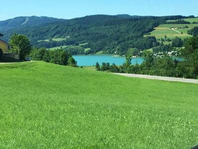 Gewerbeobjekt mieten in 4893 Zell