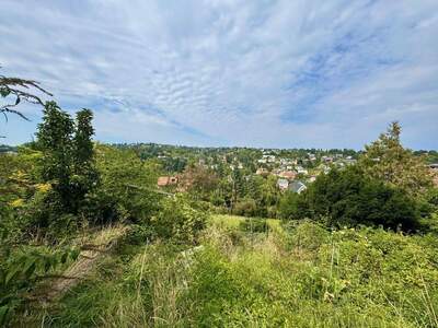 Haus kaufen in 3400 Klosterneuburg