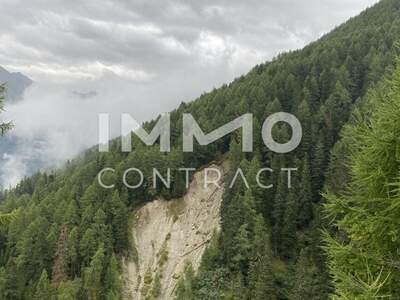 Immobilie kaufen in 9981 Kals (Bild 5)