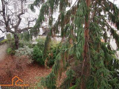 Wohnung mieten in 1100 Wien 10. (Bild 1)