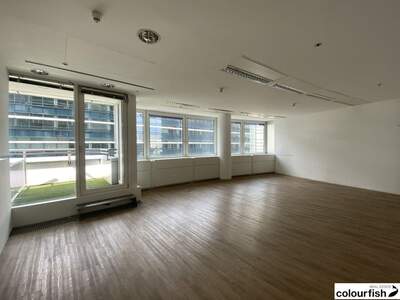 Gewerbeobjekt mieten in 1220 Wien (Bild 2)