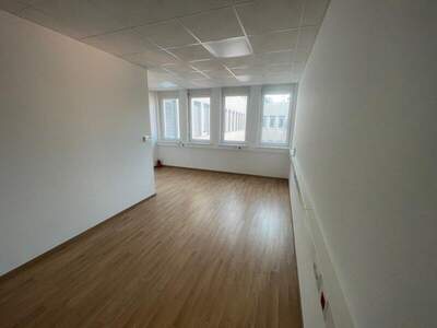 Büro / Praxis mieten in 2351 Wr. Neudorf (Bild 4)