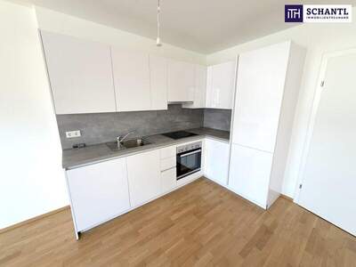 Terrassenwohnung kaufen in 1220 Wien (Bild 3)