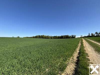 Grundstück kaufen in 4622 Eggendorf