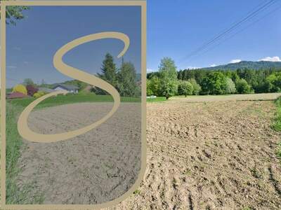 Grundstück kaufen in 4861 Aurach