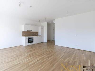 Terrassenwohnung mieten in 4020 Linz (Bild 2)