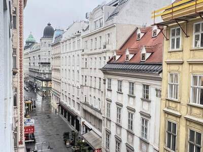 Eigentumswohnung in 1010 Wien