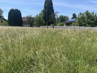 Grundstück kaufen in 4064 Kirchstetten