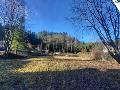 Grundstück kaufen in 4180 Saumstraß (Bild 3)