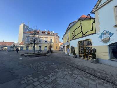 Gewerbeobjekt mieten in 8020 Graz (Bild 5)