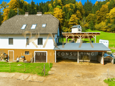 Haus kaufen in 9624 Hermagor