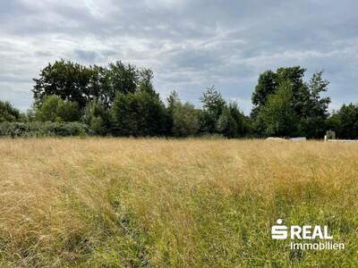 Grundstück kaufen in 4971 Aurolzmünster (Bild 2)