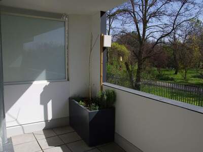 Wohnung mit Balkon mieten in 1100 Wien (Bild 2)