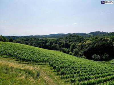 Grundstück kaufen in 8462 Eckberg