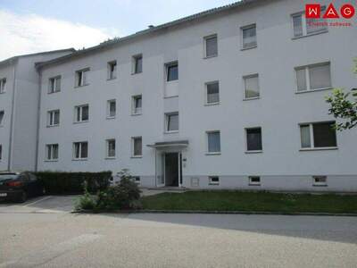 Terrassenwohnung mieten in 4593 Obergrünburg (Bild 3)