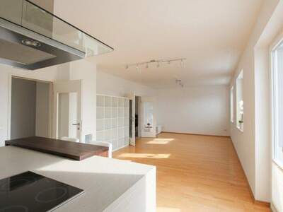 Terrassenwohnung mieten in 1220 Wien (Bild 2)