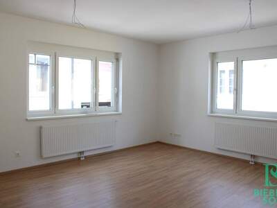 Wohnung mieten in 2620 Neunkirchen