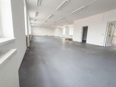 Einzelhandel mieten in 3681 Hofamt Priel (Bild 3)