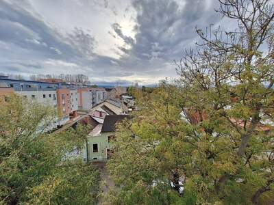 Wohnung mit Balkon kaufen in 2700 Wiener Neustadt (Bild 4)