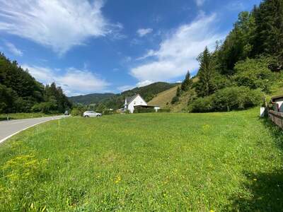 Grundstück kaufen in 8691 Altenberg (Bild 2)