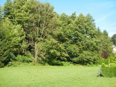 Grundstück kaufen in 2500 Siegenfeld