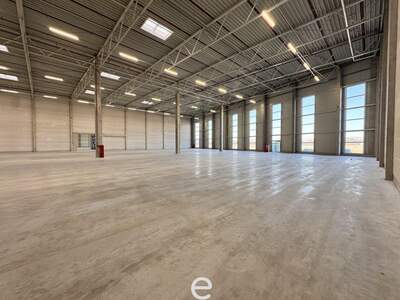 Gewerbeobjekt mieten in 4470 Enns (Bild 1)