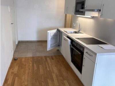 Terrassenwohnung mieten in 1220 Wien (Bild 3)