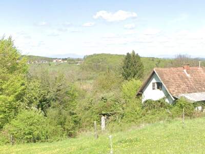 Grundstück kaufen in 8350 Petzelsdorf (Bild 1)