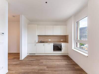 Wohnung mieten in 8020 Graz