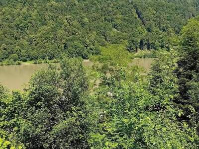 Haus provisionsfrei kaufen in 4085 Wesenufer